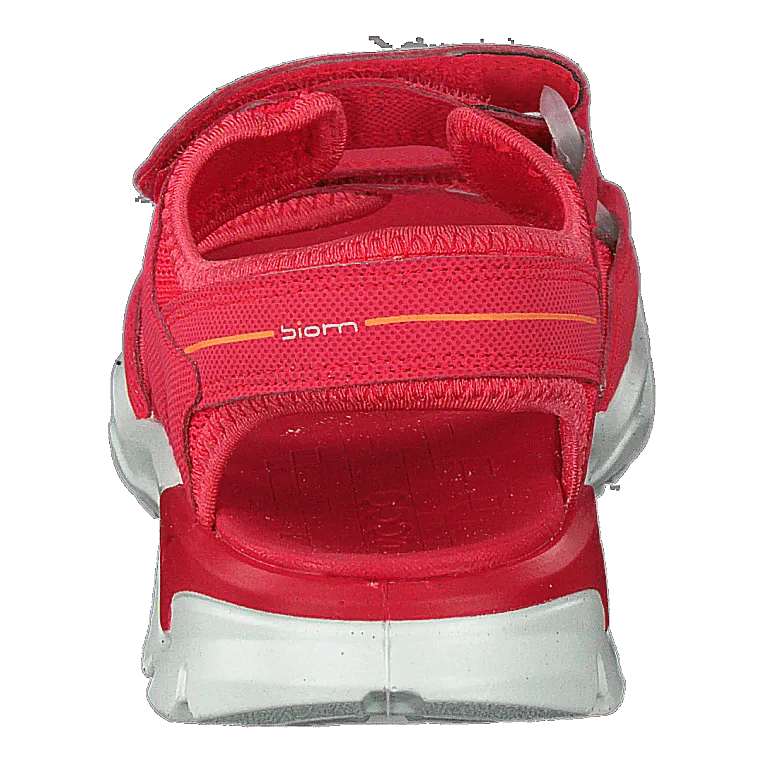 Biom Raft Teaberry