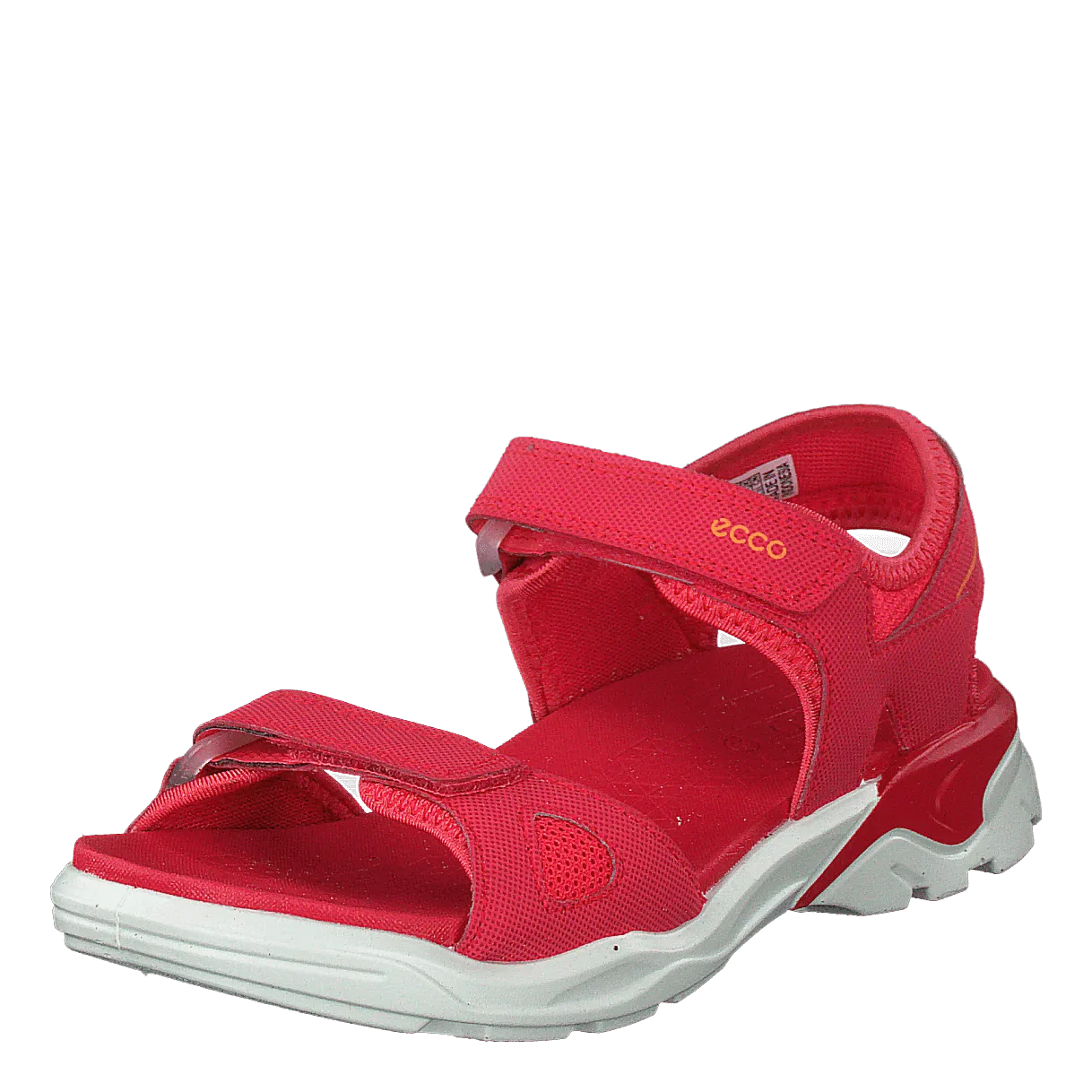 Biom Raft Teaberry