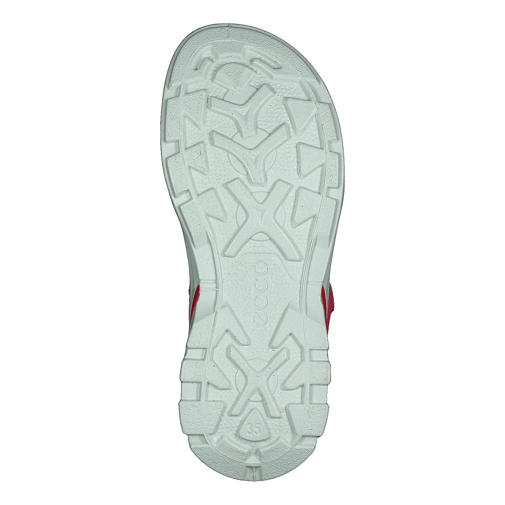 Biom Raft Teaberry