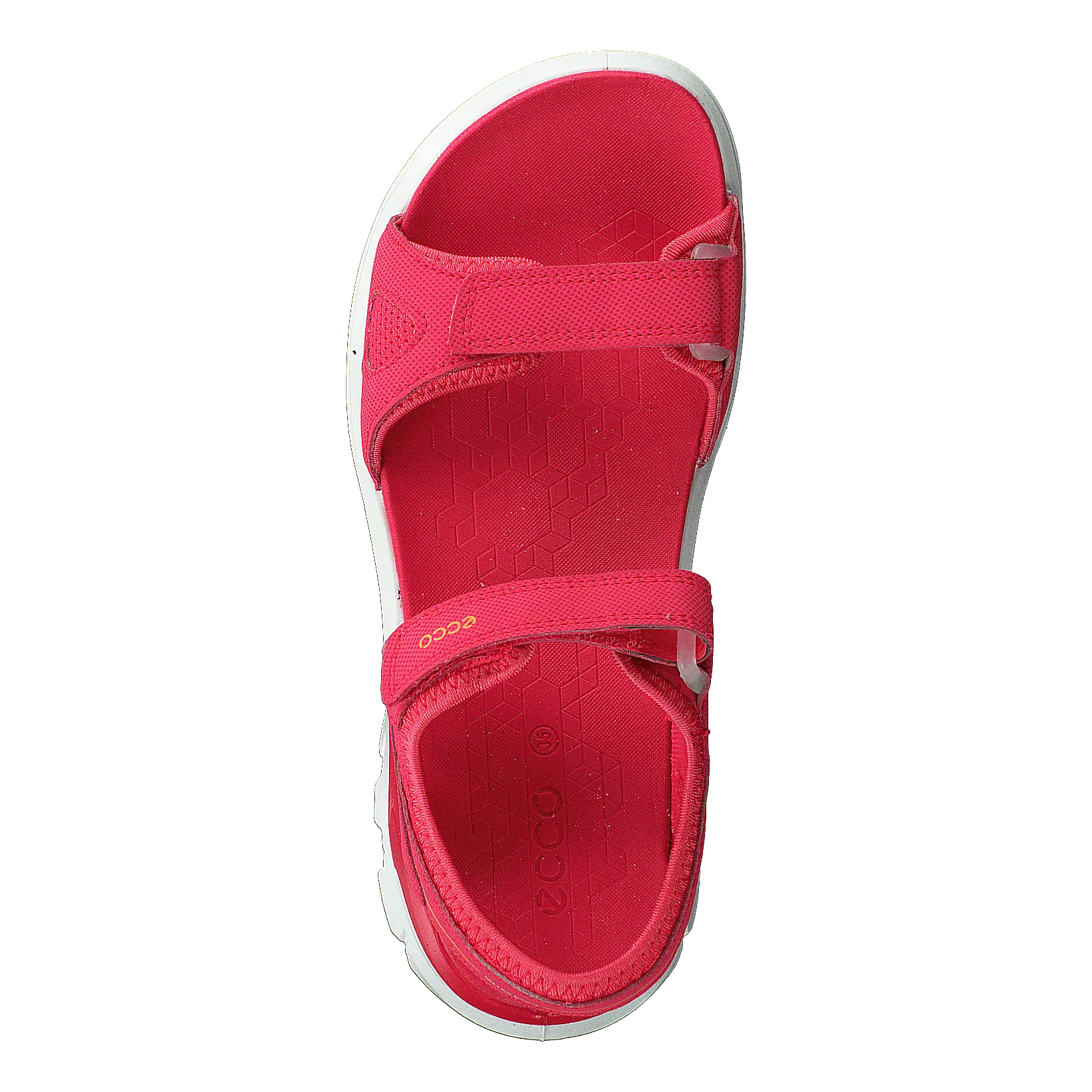 Biom Raft Teaberry