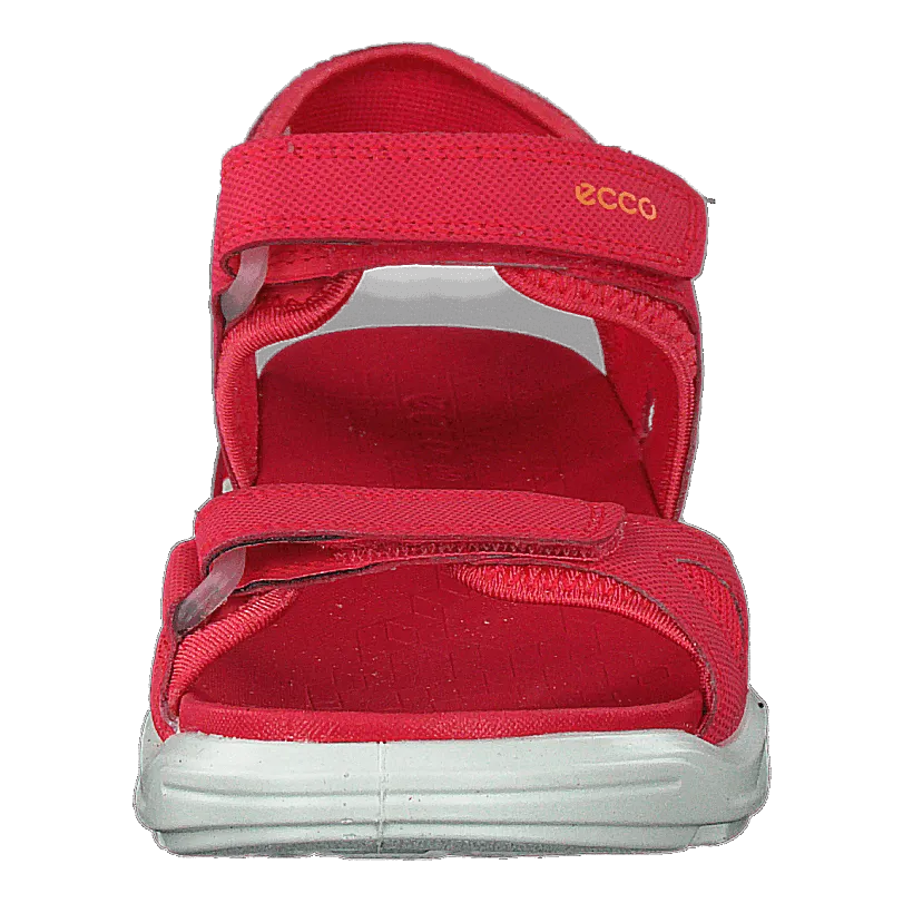 Biom Raft Teaberry