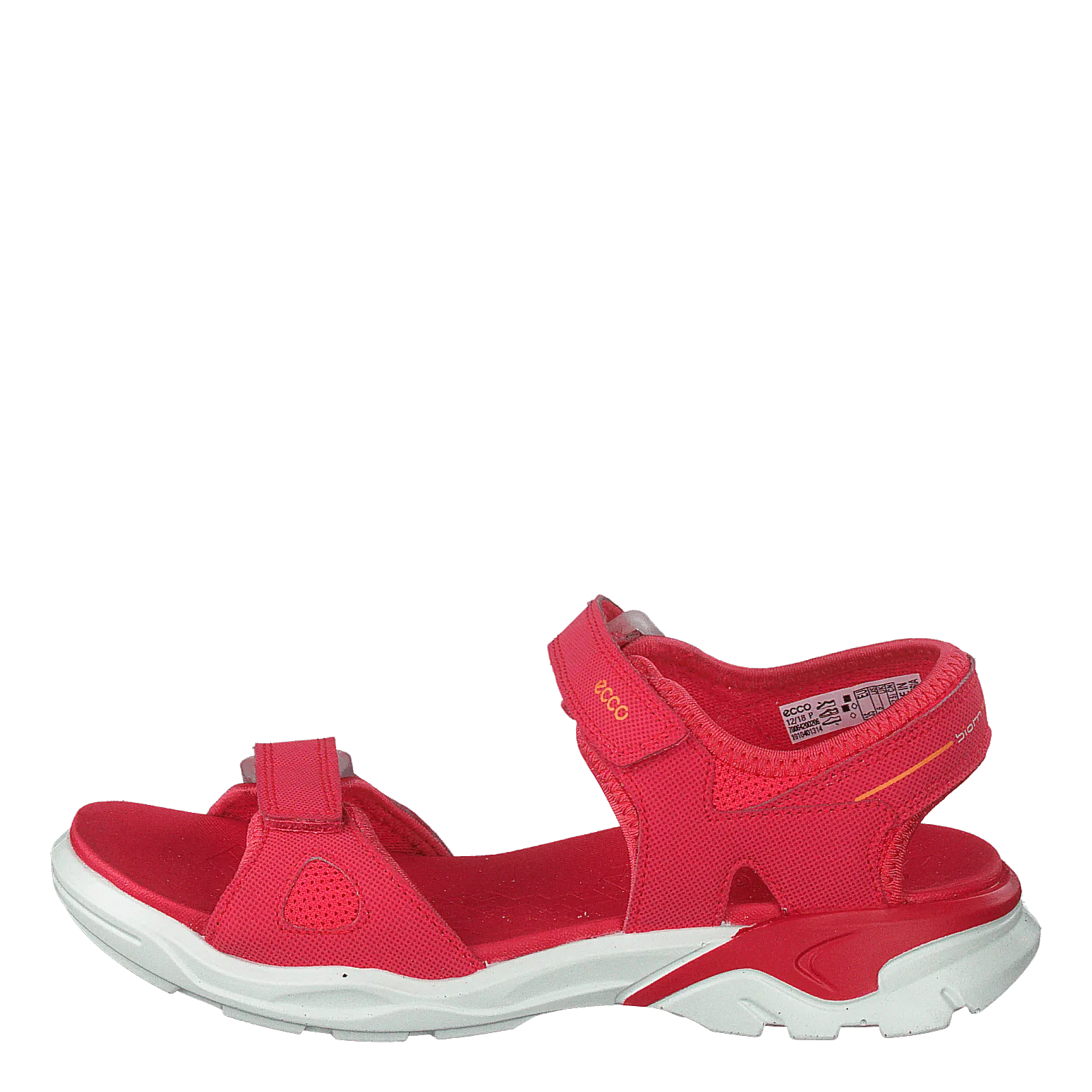 Biom Raft Teaberry